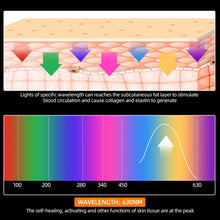 Load image into Gallery viewer, 7 Colors Light LED Photon Therapy Mask
